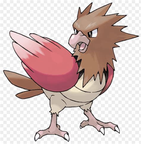 Spearow (Pokémon) .